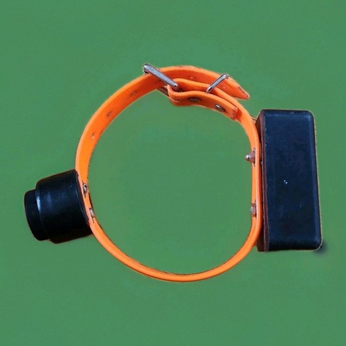 Lovett’s Electronics "Six-in-One" Beeper Dog Collar Orange Hunting Training LTH