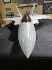 Freewing F-22 Raptor High Performance 90mm EDF