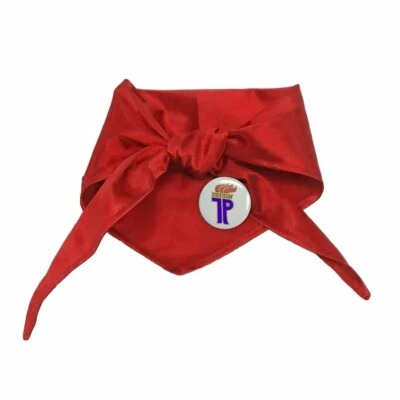 Halstuch Thälmann Pionier rot inkl. Anstecker DDR Mottoparty Ostalgie