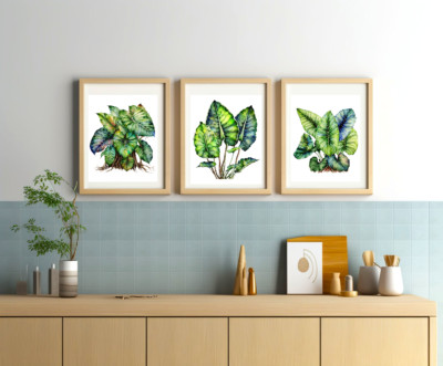 3 Sets Elephant Ear Green Leaf Print Botanical Wall Decor 8.5 x11  Unframed