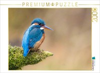 Calvendo Puzzle Eisvogel Portrait | 2000 Pieces, Finished Size 35.4 × 26.4 In (9