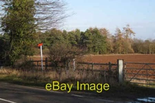 Photo 6x4 Small conifer plantation near Manor Fields Farm Stoneleigh  c2010