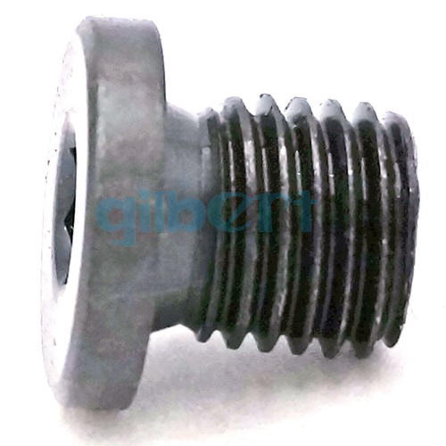 Tapa de enchufe de extremo de acero al carbono M8 M10 M12 M14 M16 con brida hexagonal enchufe hidráulico - Imagen 44 de 62