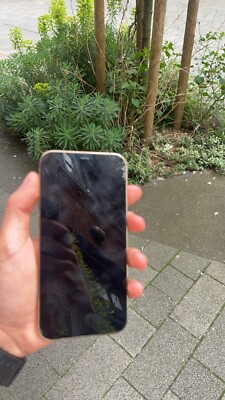 Apple iPhone 12 Pro Max - 128 GB - Gold (Unlocked) (Single SIM)