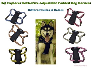 thick rope leash