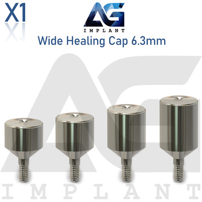 Wide Healing Cap Abutment 6.3mm Titanium For Dental System Hexagon 2.42mm