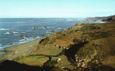 Postcard Brookings On The Coast Natural Gardens Azalea State Park  Southern OR