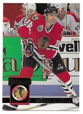 MICHEL GOULET 1993-94 DONRUSS CARD NEAR MINT+ CONDITION