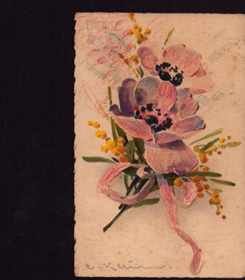Bouquet of FLOWERS / POPPY & MIMOSA ... illustrated by Catharina KLEIN
