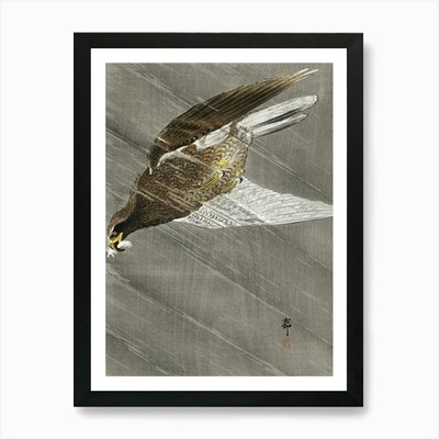 Abwärts fliegender Adler (1900 1930), gerahmtes Wandbild Poster Leinwanddruck Bild