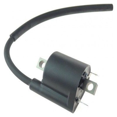 Zündspule für Yamaha GPD 150 A NMax 150 ABS Baujahr 2017-2020 von OEM