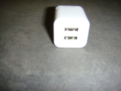 Dual Port Usb Fast Wall Ac Charger 2.1A for ipad 1.0 others Universal Adapter
