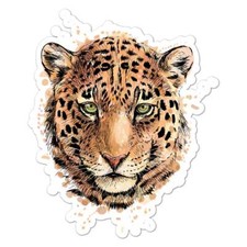 Leopard Head, Vinyl Decal Sticker, Indoor Outdoor, 3 Sizes, 8598