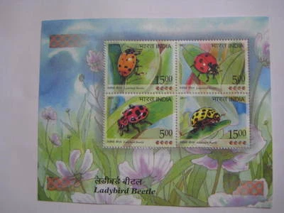 Hermoso 2017 India Hoja Miniatura En Ladybird Escarabajo - Edición Limitada - Imagen 1 de 3