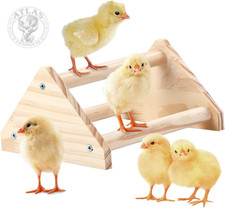 Wooden Chick Perch Stand, Pine Chicks Roosting Bar, Jungle Gym Perch Toys for Ch