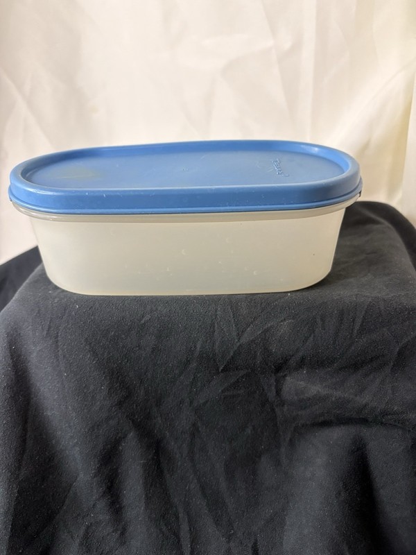Tupperware Oval Food Storage Container 2 Cups 500ml Plastic Blue Lid 1616-19