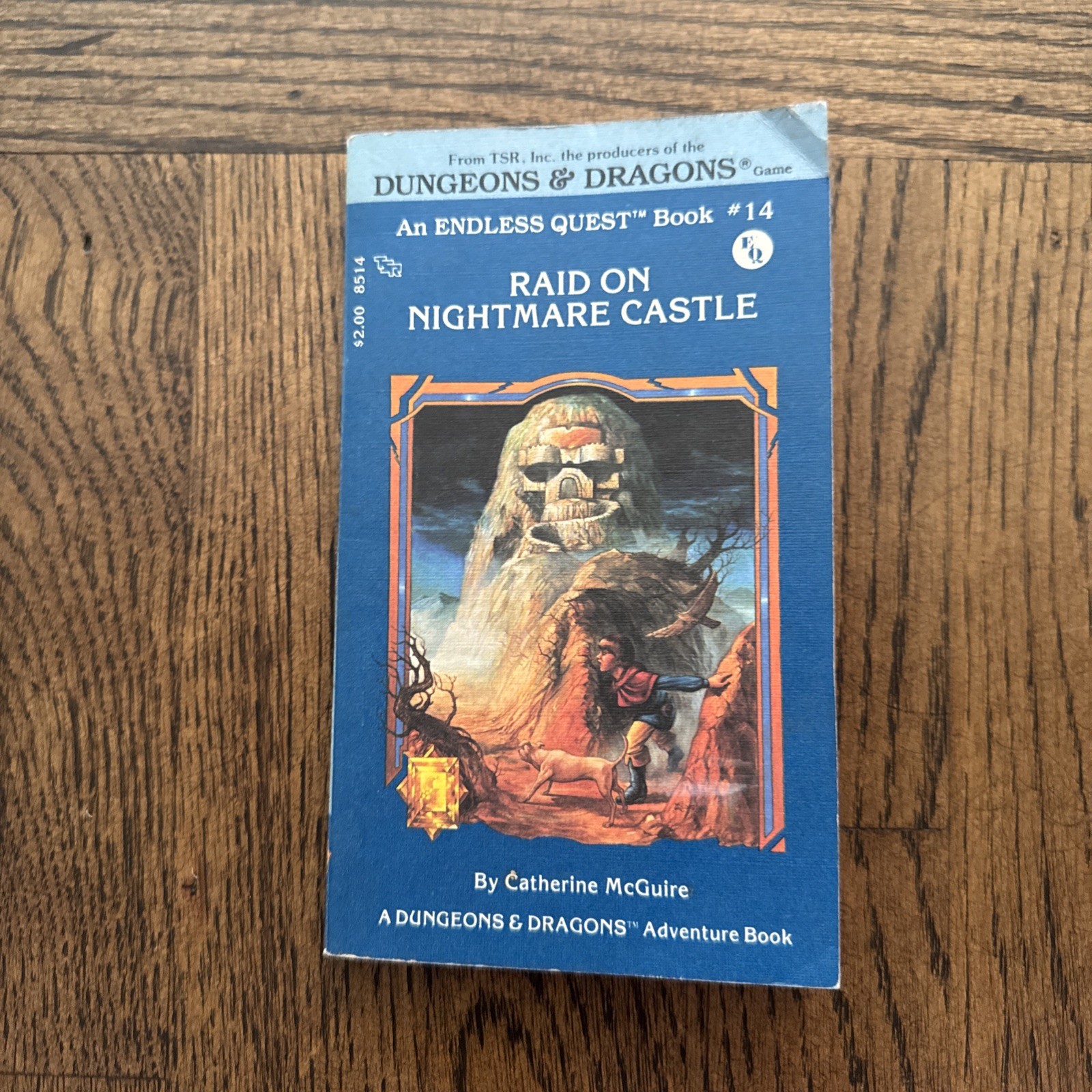 D&D Endless Quest #14 Raid on Nightmare Castle Catherine McGuire 1983 1st Print