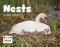Nests | Kelly Gaffney | Englisch | Taschenbuch | Kartoniert / Broschiert | 2018