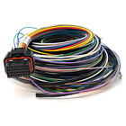 <!--F#f_0-->LINK ecu B LOOM medium 2LB wiring loom 101-0006<!--F/-->