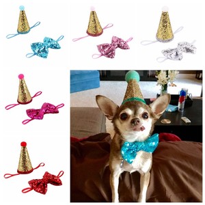 small dog birthday hat
