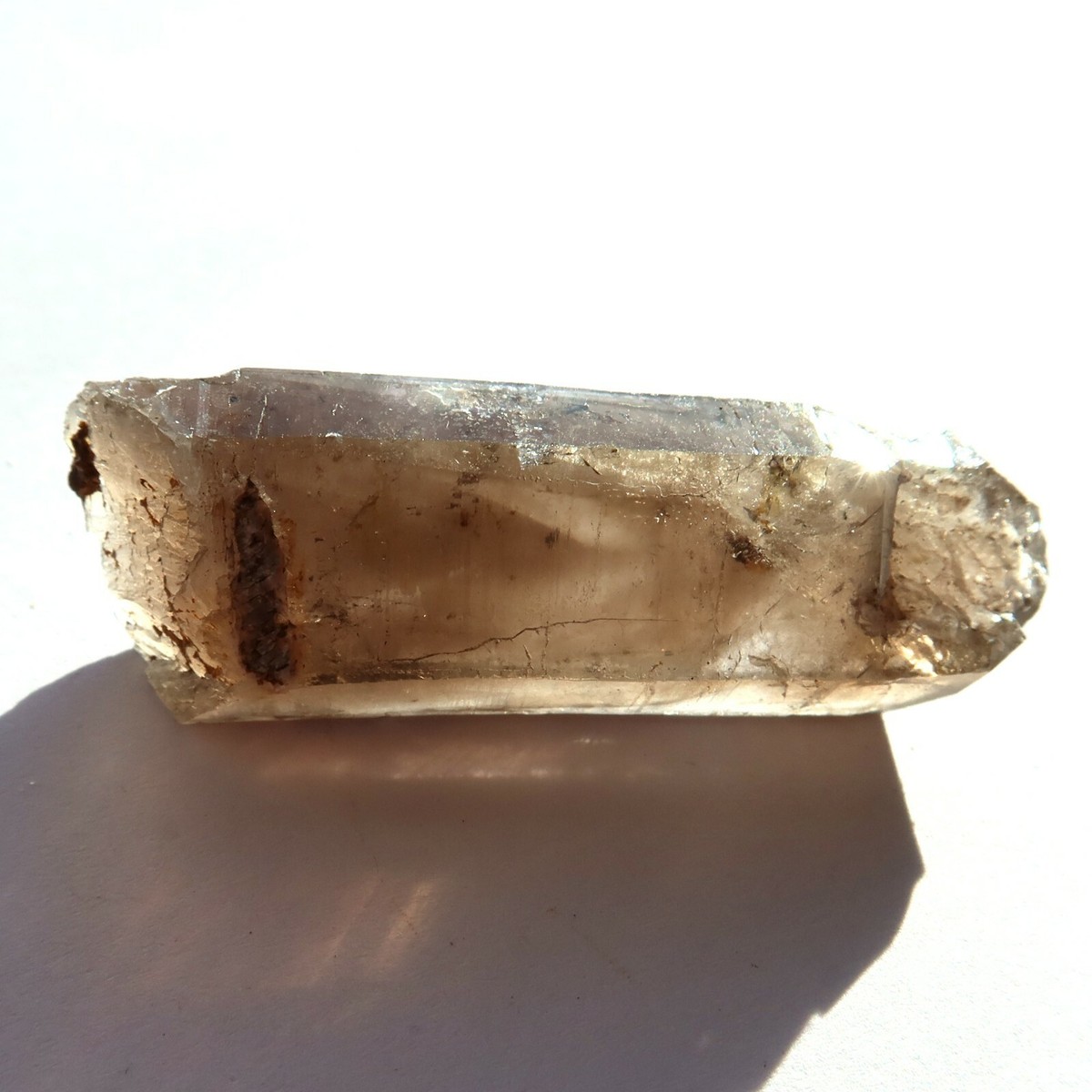 シカタくず米 シカタくず米 20kg くず米 クズ米 約29kg 令和6年産 飼料用 肥料用