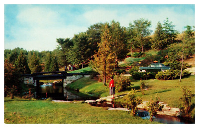 MCM Roadside Michigan Pull Off Rest Stop Picturesque Beautiful 1950's Car -  A40