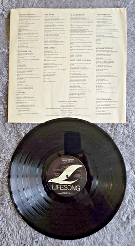 Vinyl LP - CRACK THE SKY- Photoflamingo - Picture 4 of 4