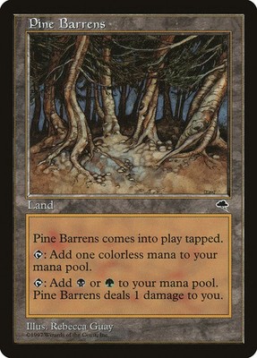 MTG Pine Barrens - 321 / English / Heavily Played