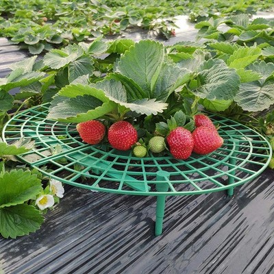 Erdbeerstützen Pflanzenkäfige Gemüse Gartenabdeckung Obstständer