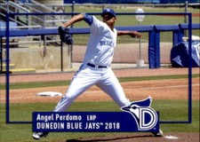 2018 Dunedin Blue Jays Grandstand #28 Angel Perdomo Dominican Republic DR Card