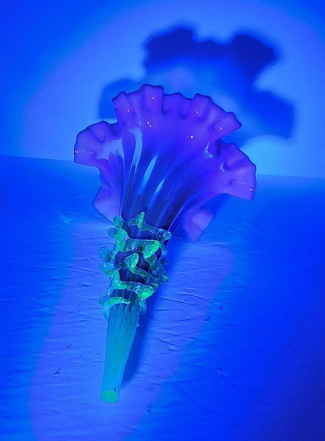 Foto 10 di 14