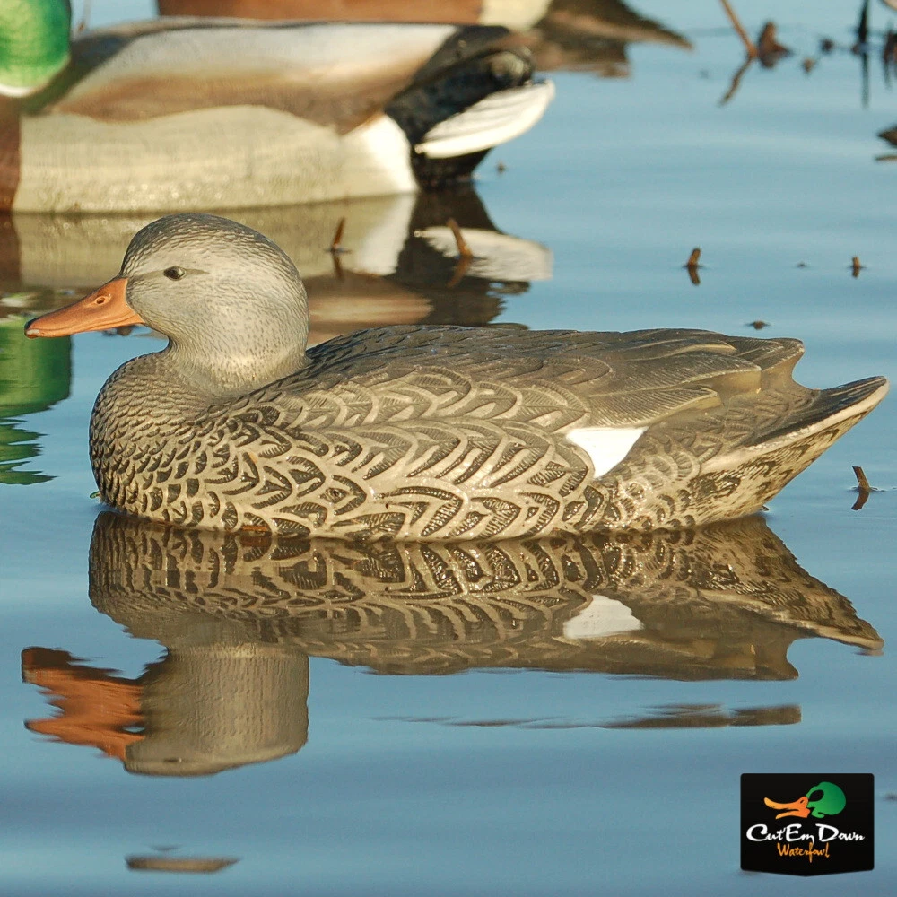 Greenhead Gear Gadwall Decoys - Thumbnail 5