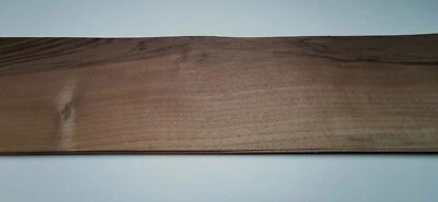 Lot 15x Noyer 75 x 17 cm ép 0.6 mm (marqueterie, bois, sycomore) L43a