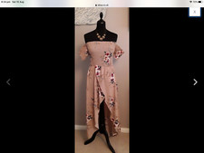 Nwt Gorgeous Blush Pink Floral Bardot Style Hi/Lo Hem Dress Size 10 !!