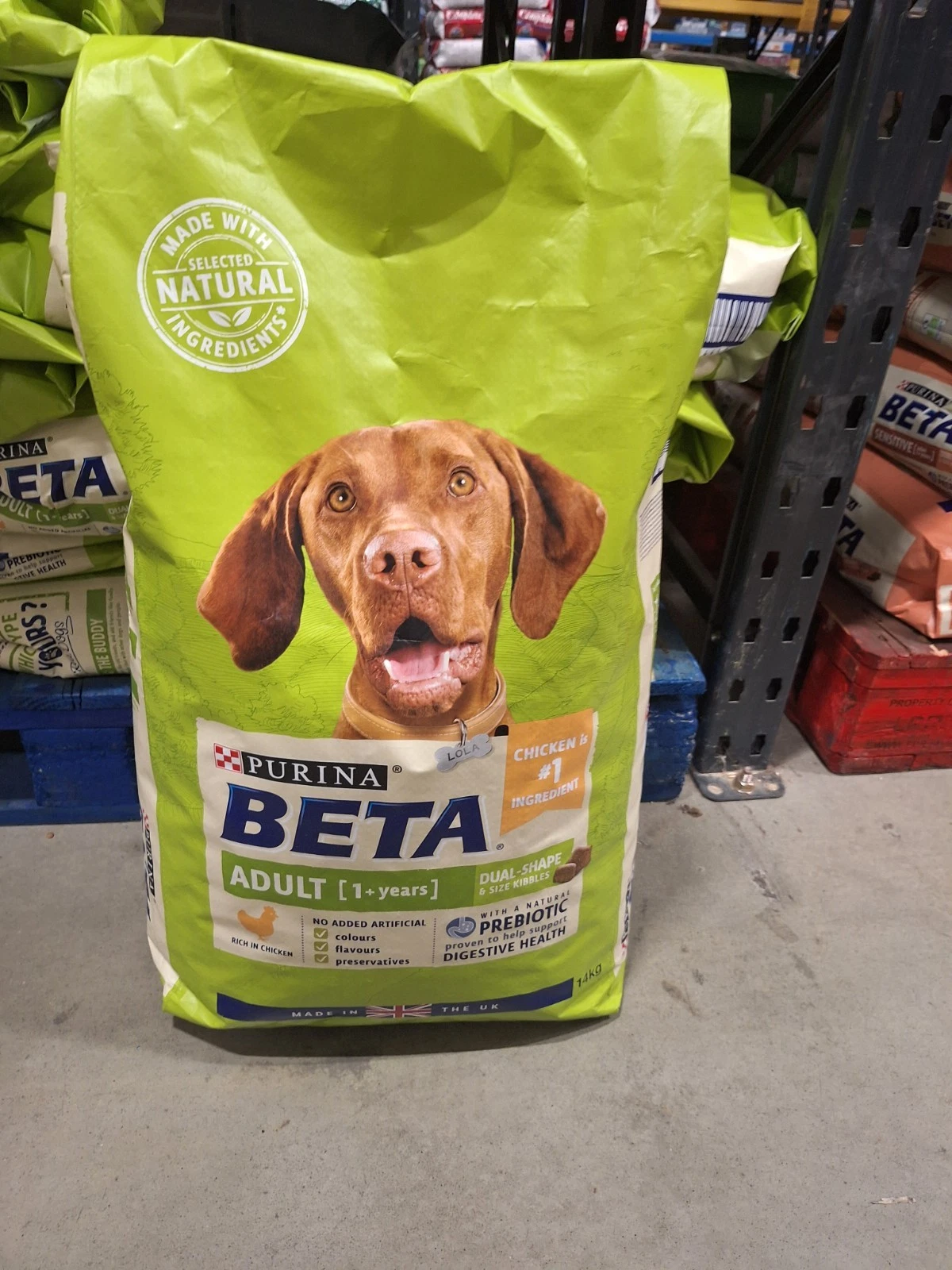 Purina Beta Adult Dry Dog Food With Chicken With Natural Prebiotic