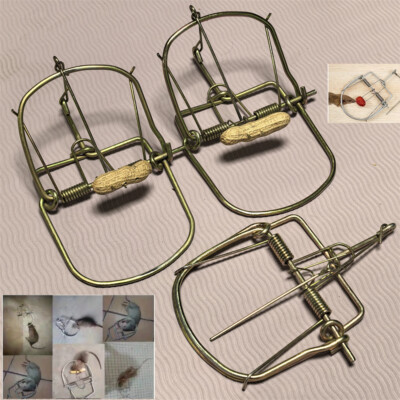 3pcs Small Animals Catch Traps Mouse Trap Spring Trapt Rodent for Rat Rabbit