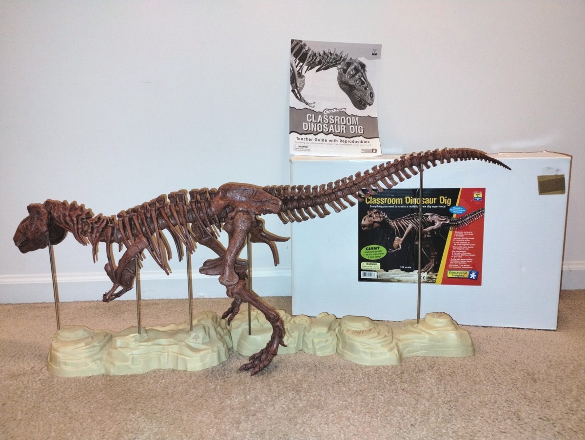 ELDRESO Bone Dinosaur Long エルドレッソ T Rex Skeleton Dinosaur GeoSafari Excavation Dig Kit 3' Long
