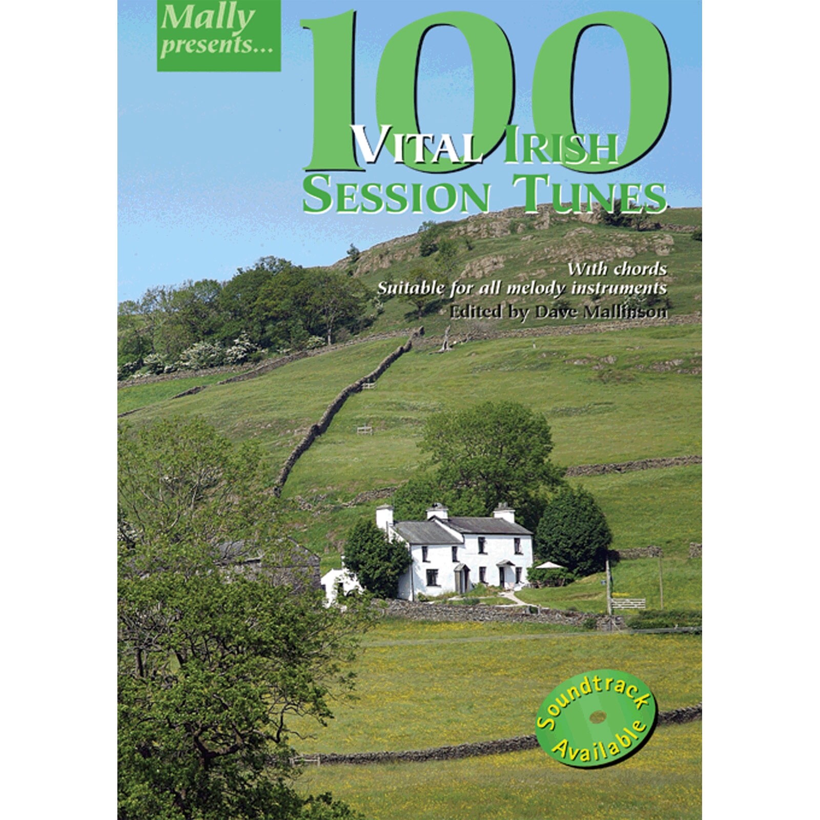 100 Vital Irish Session Tunes Book Only : Dave Mallinson
