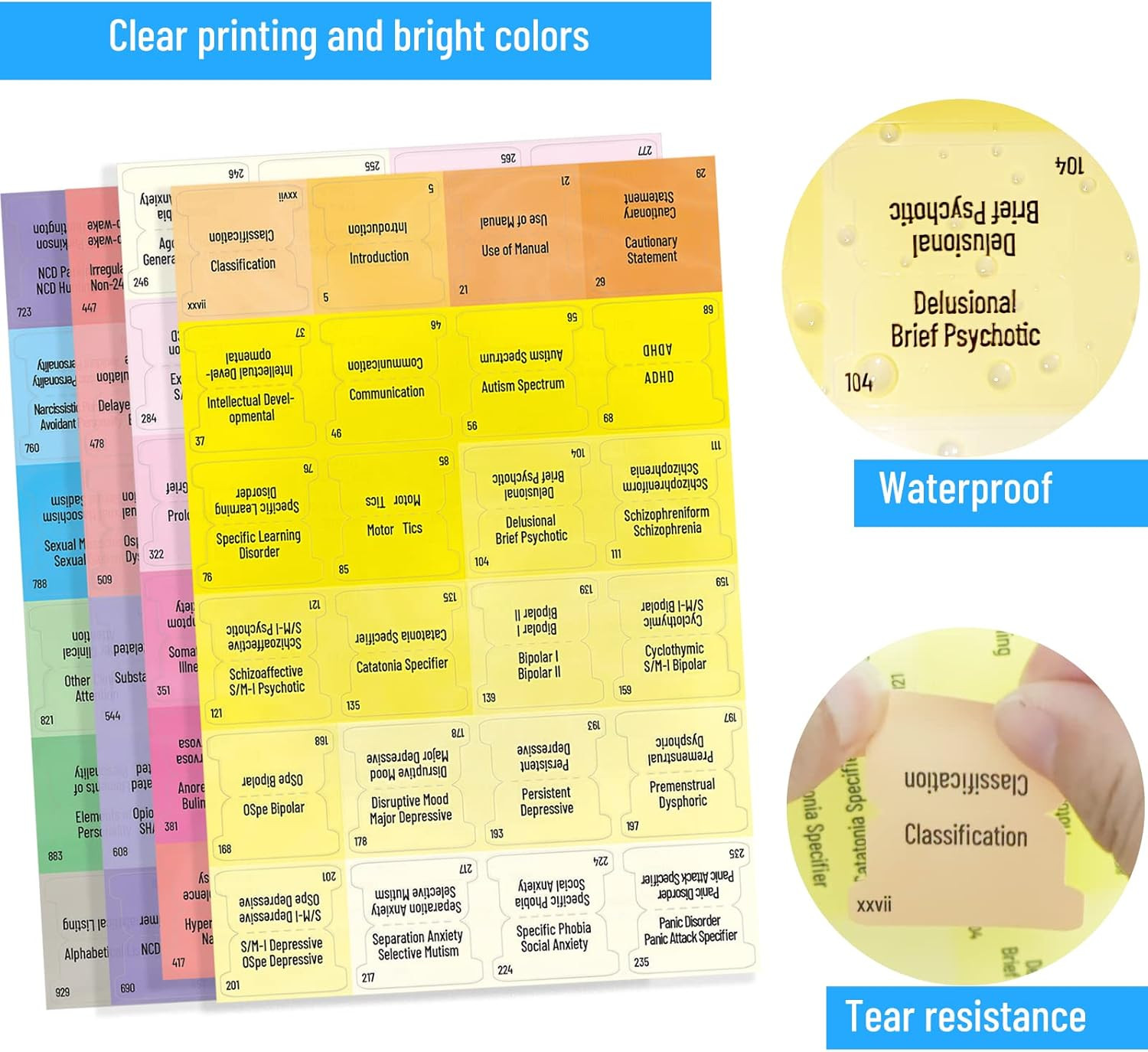 Index Tabs for DSM-5-TR, 94 Printed DSM-V-TR Tabs and 18 Blank Tab Stickers, wit