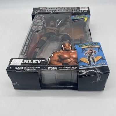 WWE Jakks Pacific Deluxe Aggression Superstars Series 3 Bobby