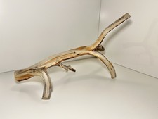 Manzanita Driftwood, Reptile Tank Decor, Aquascape, Terrarium, Aquarium Wood