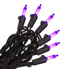 Home Accents 2x300 600Ct Purple Mini LED Black Wire Halloween String Light Spool
