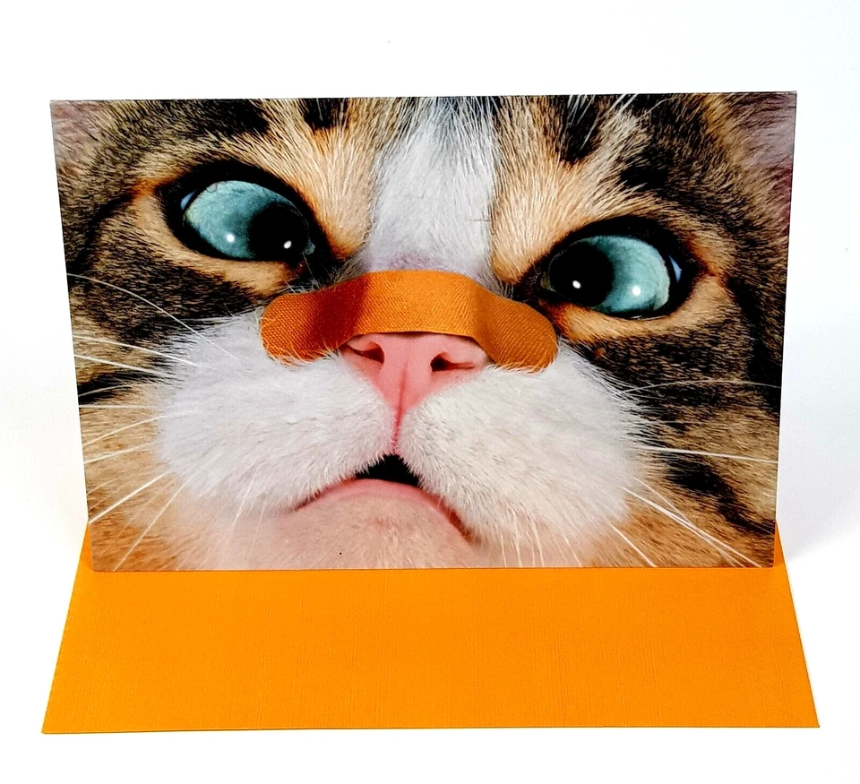AVANTI GET WELL Greeting Card Cat with Bandage "Don't Do it Again!"with Envelope - Image 2 of 3