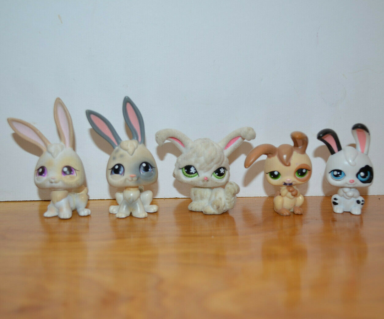 pet shops that sell rabbits