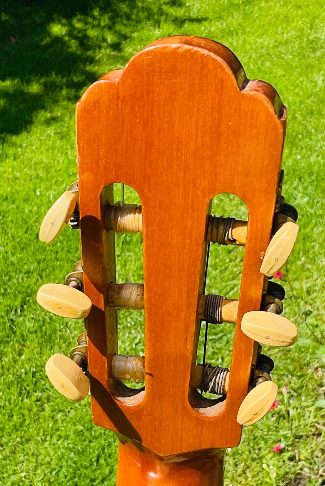 Picture 4 of 13