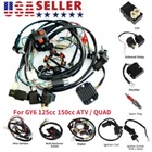 Wire Harness 6 Coil Stator CDI Wiring Harness for GY6 125cc 150cc ATV Taotao New