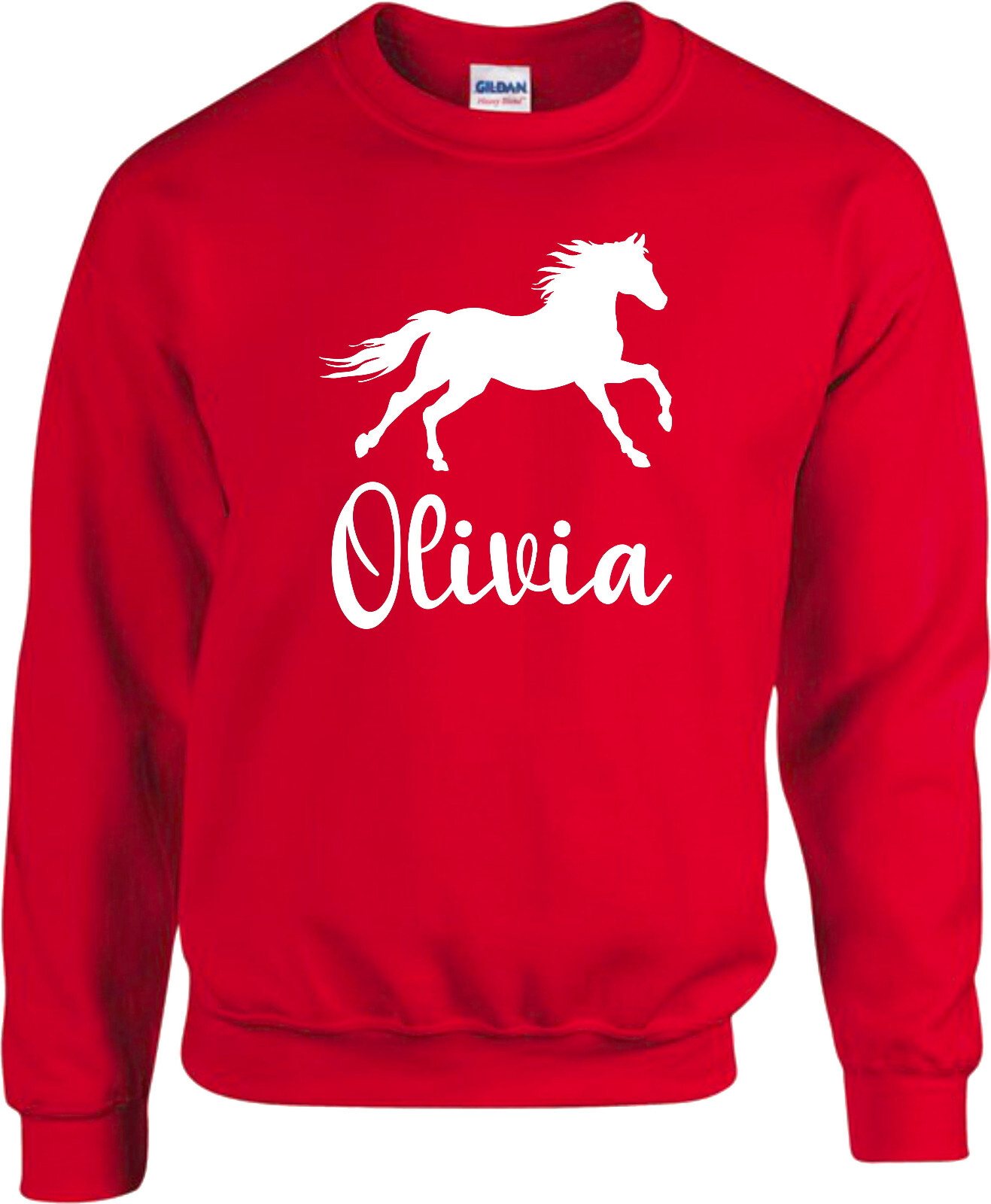 PERSONALISED HORSE JUMPER DRESSAGE EQUESTRIAN PONY CHRISTMAS PRESENT
