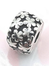 Pandora Charm Clip