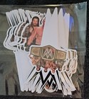 Wrestling Birthday Decorations — photo 3