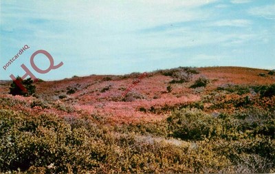 Ansichtskarte - Nantucket, Herbst auf den Mauren
